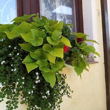 House Josipa Hotel Rakovica Exterior photo